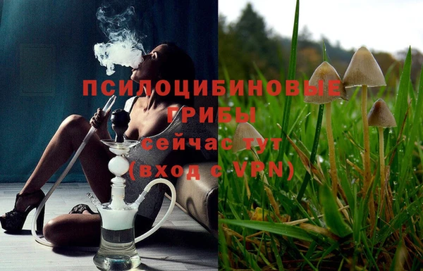 стаф Арсеньев
