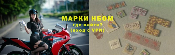 стаф Арсеньев