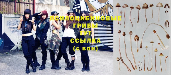 стаф Арсеньев