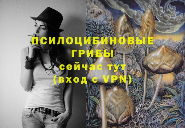 стаф Арсеньев