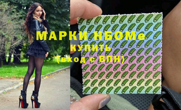 стаф Арсеньев