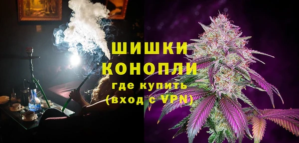 стаф Арсеньев