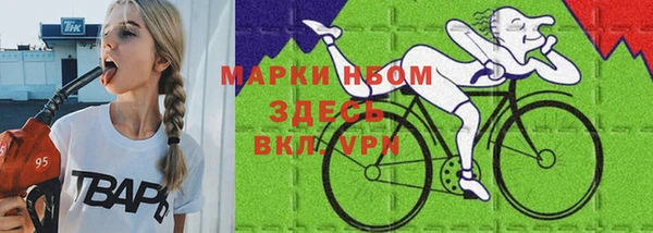 стаф Арсеньев