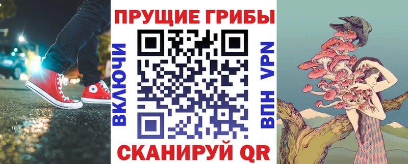 где купить   Рудня  Галлюциногенные грибы Cubensis 